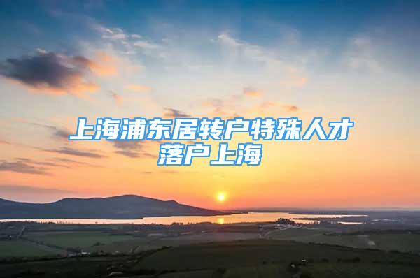 上海浦東居轉(zhuǎn)戶特殊人才落戶上海