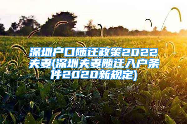 深圳戶口隨遷政策2022夫妻(深圳夫妻隨遷入戶條件2020新規(guī)定)