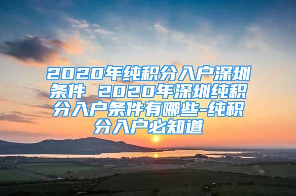 2020年純積分入戶深圳條件 2020年深圳純積分入戶條件有哪些-純積分入戶必知道