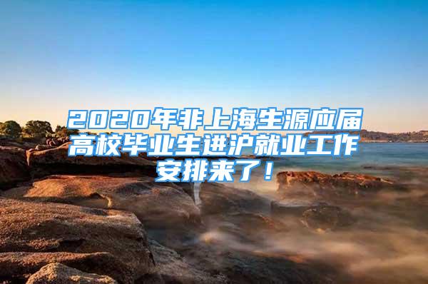 2020年非上海生源應(yīng)屆高校畢業(yè)生進滬就業(yè)工作安排來了！