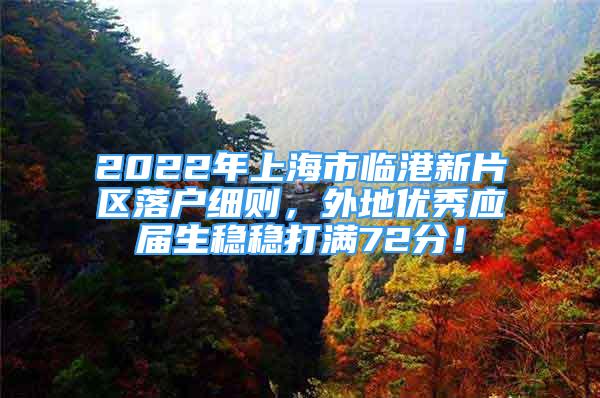 2022年上海市臨港新片區(qū)落戶細則，外地優(yōu)秀應(yīng)屆生穩(wěn)穩(wěn)打滿72分！