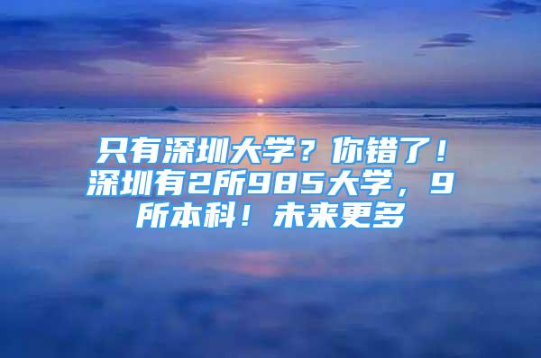 只有深圳大學(xué)？你錯了！深圳有2所985大學(xué)，9所本科！未來更多