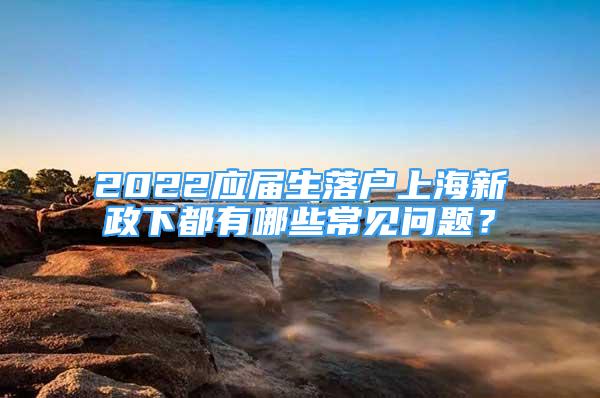 2022應(yīng)屆生落戶上海新政下都有哪些常見問題？