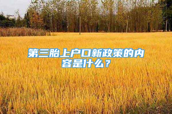 第三胎上戶口新政策的內(nèi)容是什么？