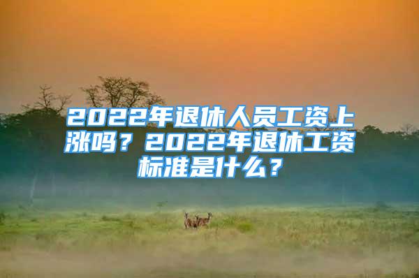 2022年退休人員工資上漲嗎？2022年退休工資標(biāo)準(zhǔn)是什么？