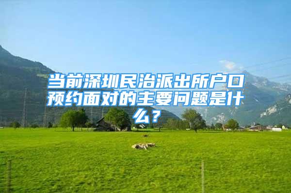 當前深圳民治派出所戶口預(yù)約面對的主要問題是什么？