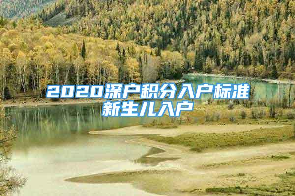 2020深戶積分入戶標(biāo)準(zhǔn)新生兒入戶