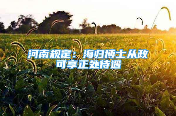 河南規(guī)定：海歸博士從政可享正處待遇