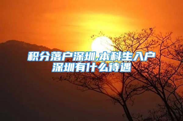 積分落戶深圳,本科生入戶深圳有什么待遇