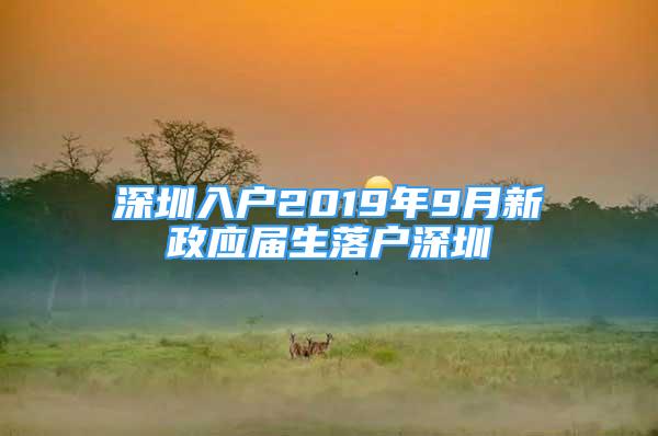 深圳入戶2019年9月新政應屆生落戶深圳