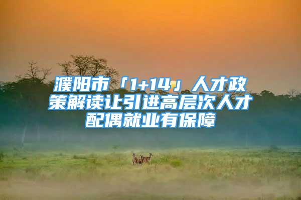 濮陽市「1+14」人才政策解讀讓引進(jìn)高層次人才配偶就業(yè)有保障