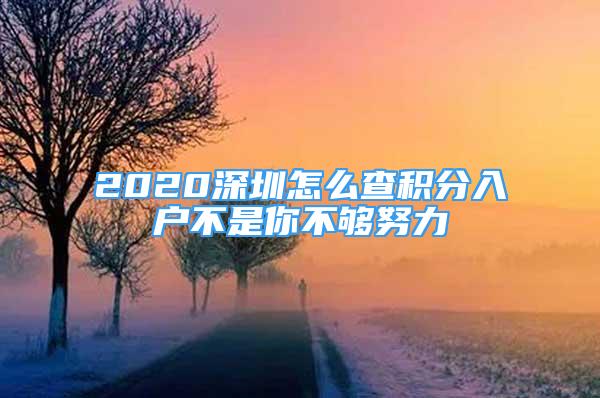 2020深圳怎么查積分入戶不是你不夠努力