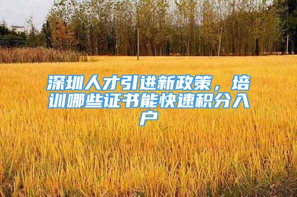 深圳人才引進新政策，培訓哪些證書能快速積分入戶