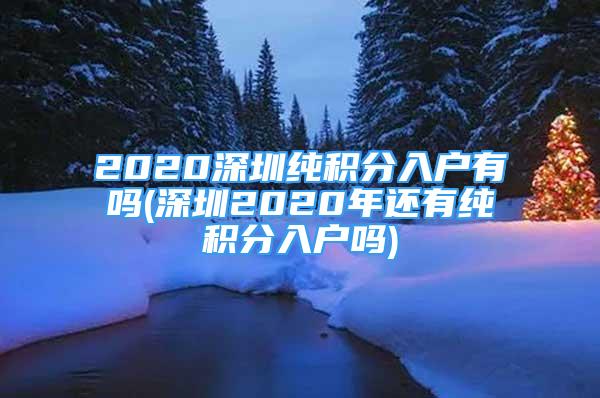 2020深圳純積分入戶有嗎(深圳2020年還有純積分入戶嗎)