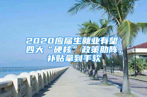 2020應(yīng)屆生就業(yè)有望：四大“硬核”政策助陣，補(bǔ)貼拿到手軟