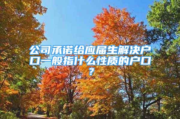 公司承諾給應(yīng)屆生解決戶口一般指什么性質(zhì)的戶口？