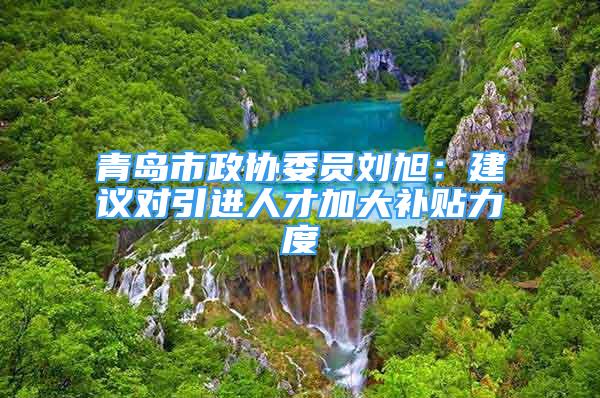 青島市政協(xié)委員劉旭：建議對引進人才加大補貼力度