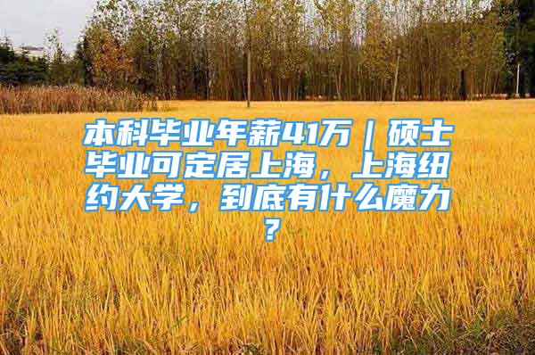 本科畢業(yè)年薪41萬(wàn)｜碩士畢業(yè)可定居上海，上海紐約大學(xué)，到底有什么魔力？