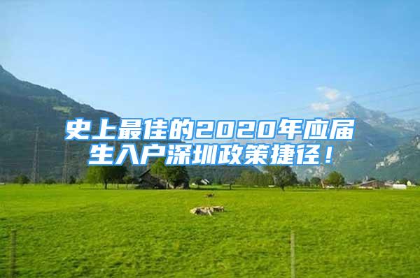 史上最佳的2020年應屆生入戶深圳政策捷徑！