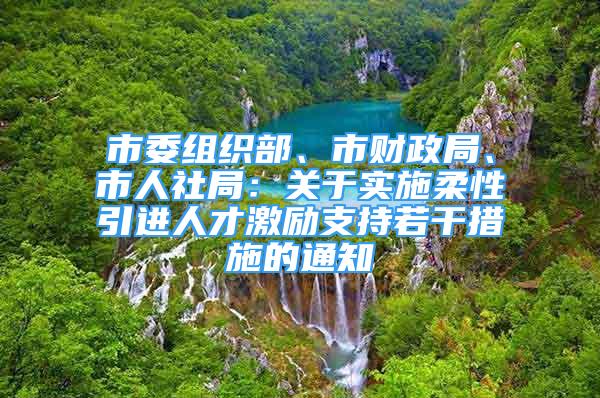 市委組織部、市財(cái)政局、市人社局：關(guān)于實(shí)施柔性引進(jìn)人才激勵(lì)支持若干措施的通知