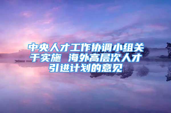 中央人才工作協(xié)調(diào)小組關(guān)于實施 海外高層次人才引進(jìn)計劃的意見