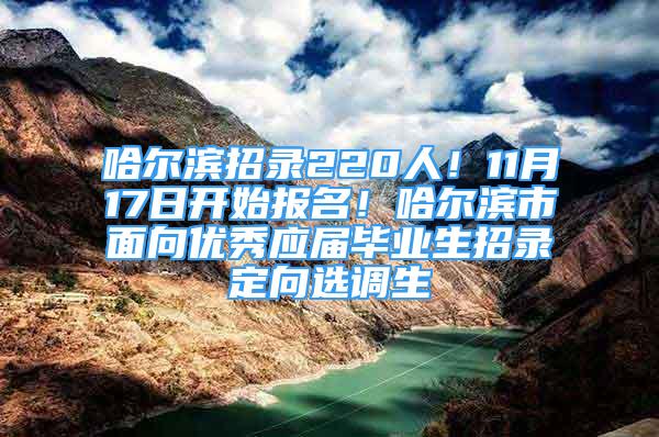 哈爾濱招錄220人！11月17日開始報(bào)名！哈爾濱市面向優(yōu)秀應(yīng)屆畢業(yè)生招錄定向選調(diào)生