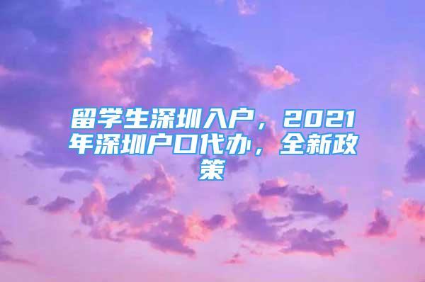 留學(xué)生深圳入戶，2021年深圳戶口代辦，全新政策