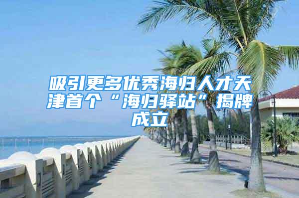 吸引更多優(yōu)秀海歸人才天津首個“海歸驛站”揭牌成立