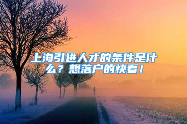 上海引進人才的條件是什么？想落戶的快看！