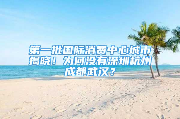 第一批國際消費中心城市揭曉！為何沒有深圳杭州成都武漢？