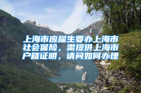 上海市應(yīng)屆生要辦上海市社會保險，需提供上海市戶籍證明，請問如何辦理