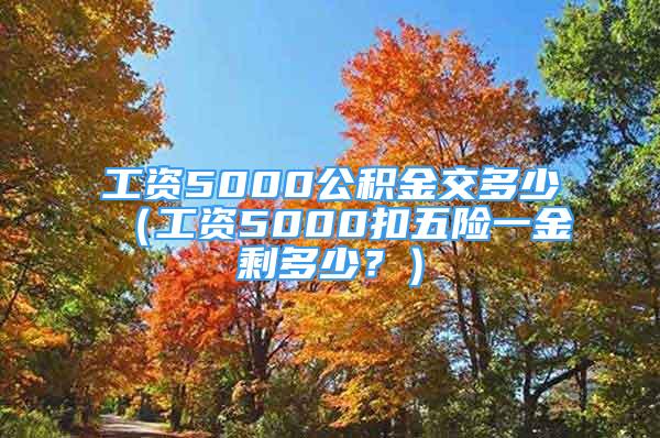 工資5000公積金交多少（工資5000扣五險一金剩多少？）