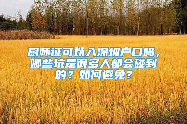 廚師證可以入深圳戶(hù)口嗎，哪些坑是很多人都會(huì)碰到的？如何避免？