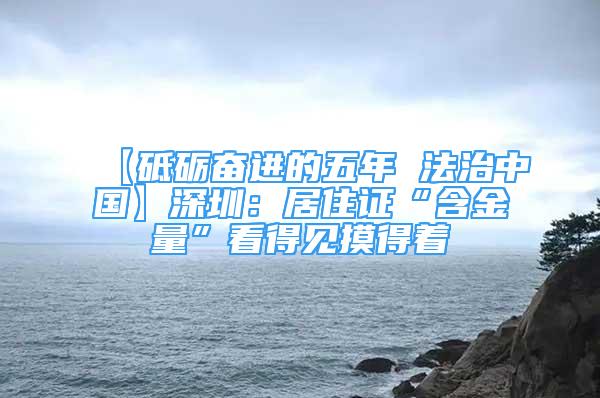 【砥礪奮進(jìn)的五年 法治中國】深圳：居住證“含金量”看得見摸得著