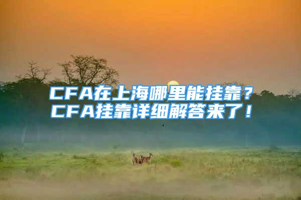 CFA在上海哪里能掛靠？CFA掛靠詳細解答來了！