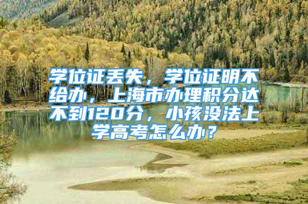 學位證丟失，學位證明不給辦，上海市辦理積分達不到120分，小孩沒法上學高考怎么辦？