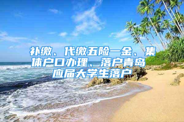 補繳、代繳五險一金、集體戶口辦理、落戶青島 應(yīng)屆大學(xué)生落戶