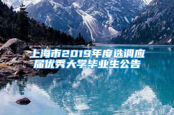 上海市2019年度選調(diào)應(yīng)屆優(yōu)秀大學(xué)畢業(yè)生公告