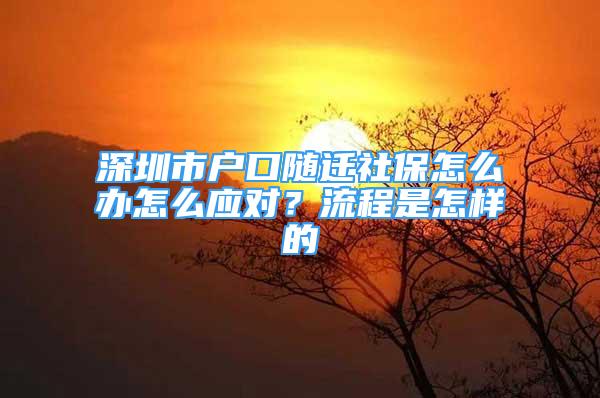 深圳市戶口隨遷社保怎么辦怎么應(yīng)對？流程是怎樣的