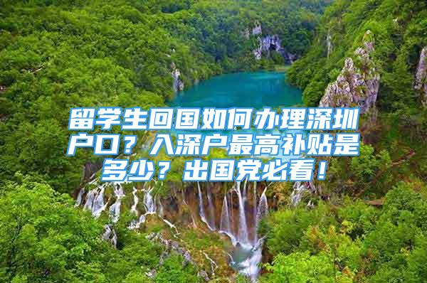 留學(xué)生回國(guó)如何辦理深圳戶口？入深戶最高補(bǔ)貼是多少？出國(guó)黨必看！