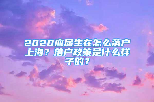 2020應(yīng)屆生在怎么落戶上海？落戶政策是什么樣子的？