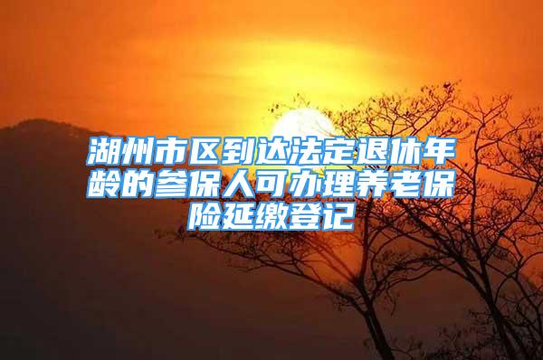 湖州市區(qū)到達法定退休年齡的參保人可辦理養(yǎng)老保險延繳登記