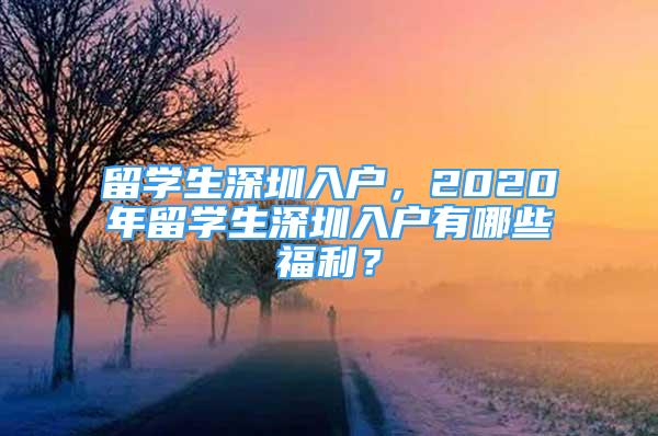 留學(xué)生深圳入戶，2020年留學(xué)生深圳入戶有哪些福利？