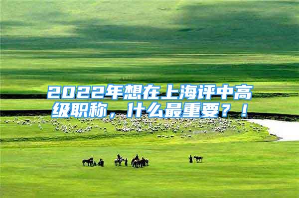 2022年想在上海評中高級職稱，什么最重要？！