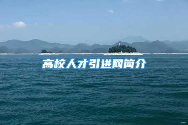 高校人才引進(jìn)網(wǎng)簡(jiǎn)介