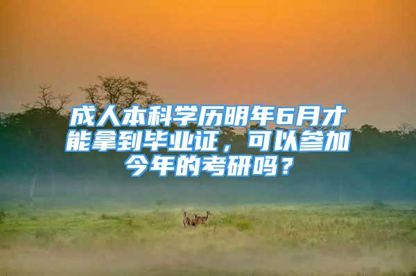 成人本科學(xué)歷明年6月才能拿到畢業(yè)證，可以參加今年的考研嗎？