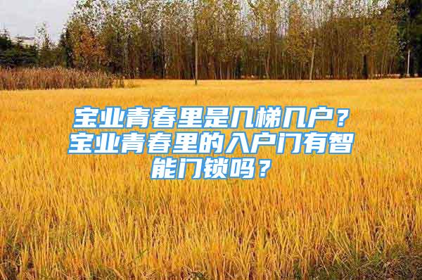 寶業(yè)青春里是幾梯幾戶？寶業(yè)青春里的入戶門有智能門鎖嗎？