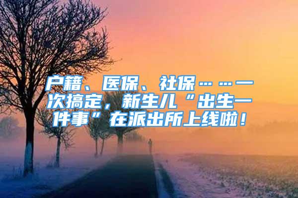 戶籍、醫(yī)保、社?！淮胃愣?，新生兒“出生一件事”在派出所上線啦！