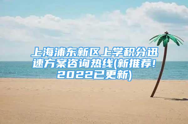 上海浦東新區(qū)上學(xué)積分迅速方案咨詢熱線(新推薦!2022已更新)