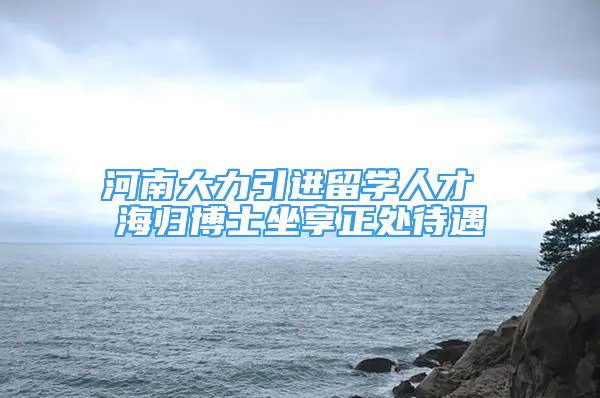 河南大力引進(jìn)留學(xué)人才 海歸博士坐享正處待遇